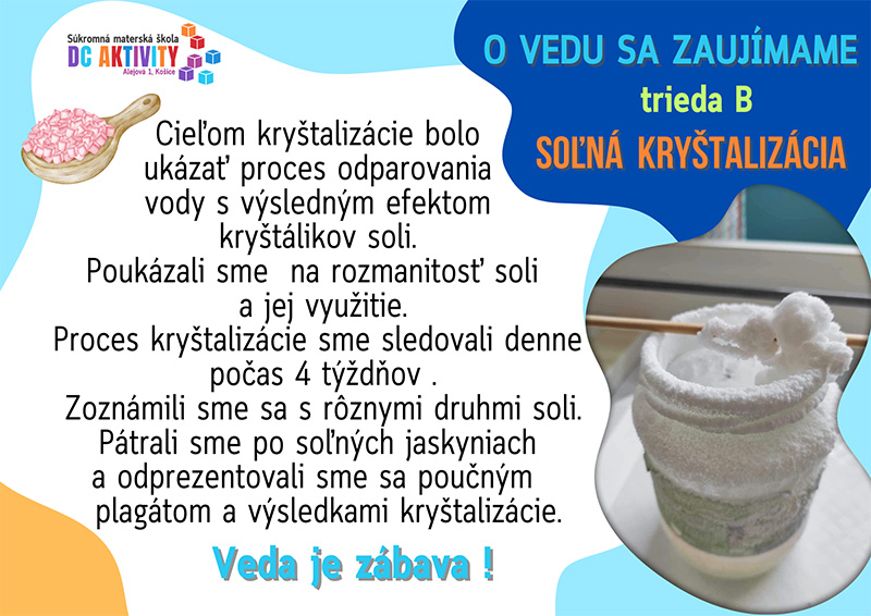 Projekt triedy B - Krištalizácia soli